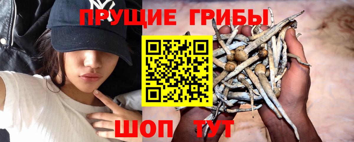 Псилоцибиновые грибы Cubensis  Псилоцибиновые грибы MAGIC MUSHROOMS  Печора  Вход с VPN 