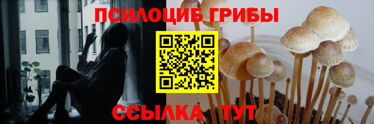 ГАШИШ  Альфа ПВП СК кристаллы  Вход с VPN  NBOMe  Магазины продажи наркотиков  МЕТАДОН  МЕФ   МАРИХУАНА  Печора  Cocaine  LSD-25 